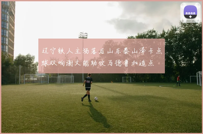 辽宁铁人主场落后山东泰山泽卡点球双响谢文能助攻马德鲁加造点